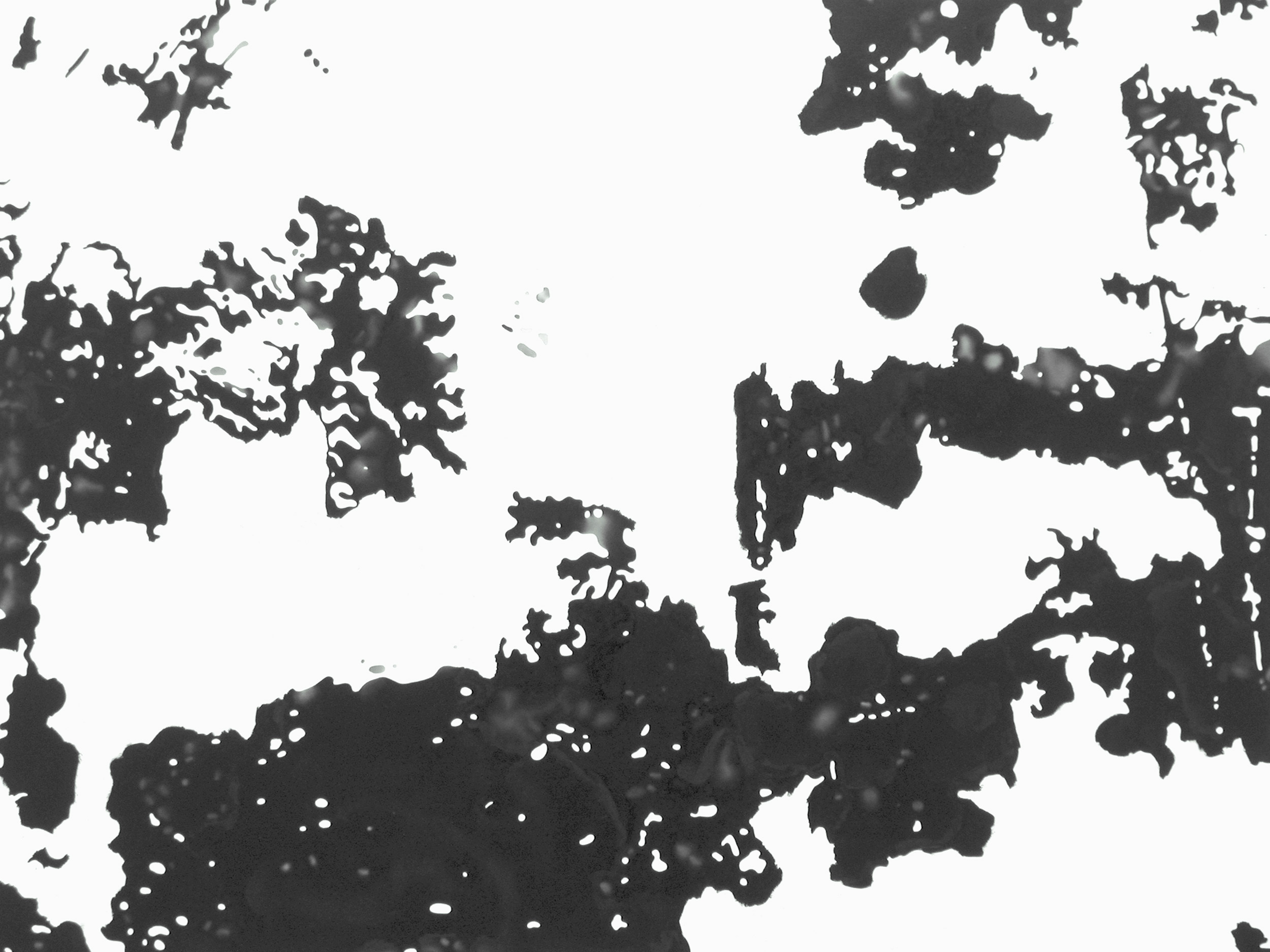 Ansicht 035
