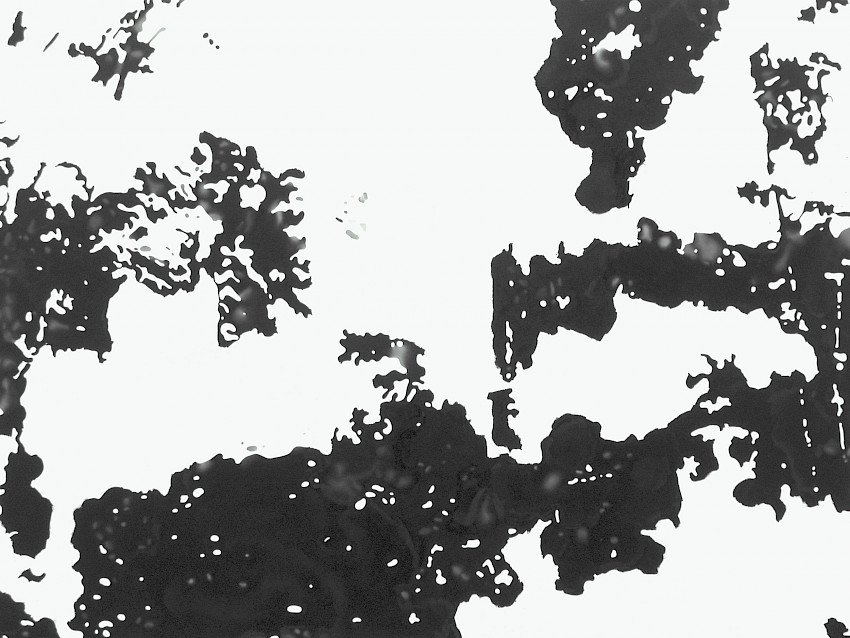 Ansicht 036