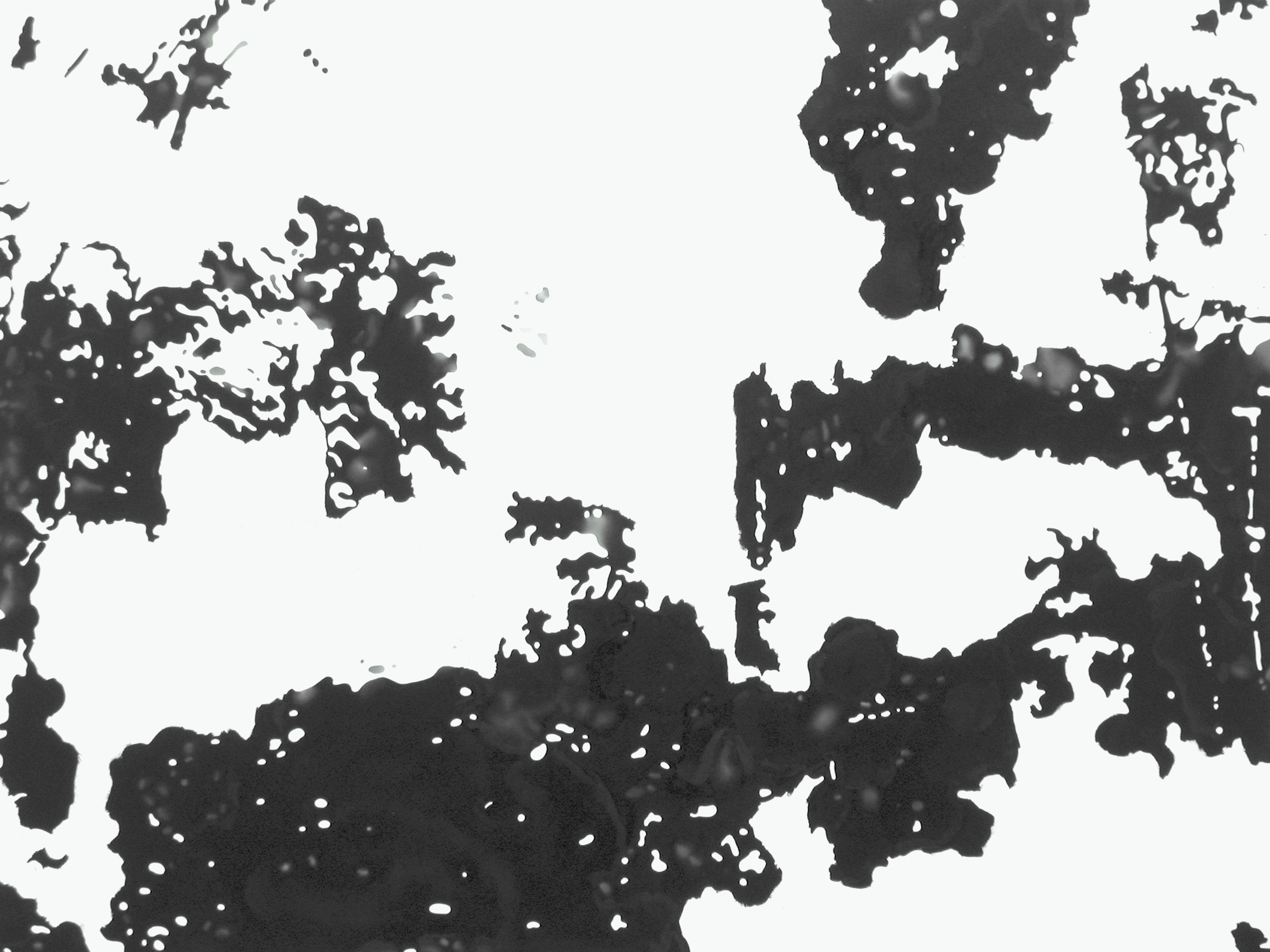 Ansicht 036