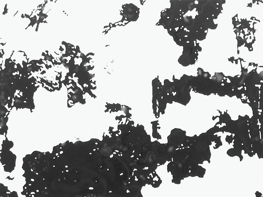 Ansicht 037