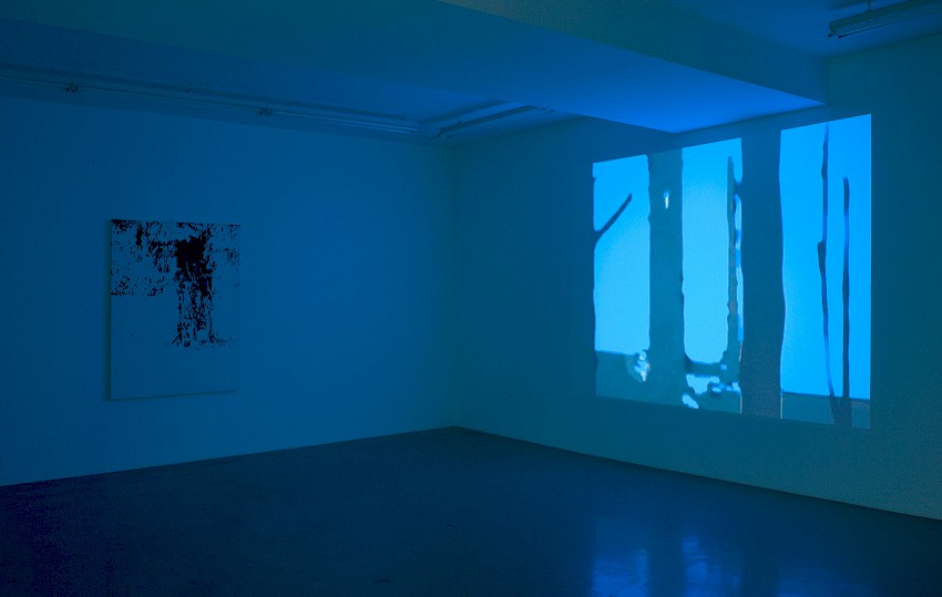 Galerie Six Friedrich Lisa Ungar, München 2008