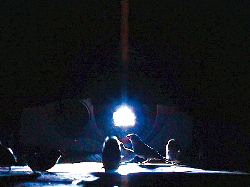 Vista 018