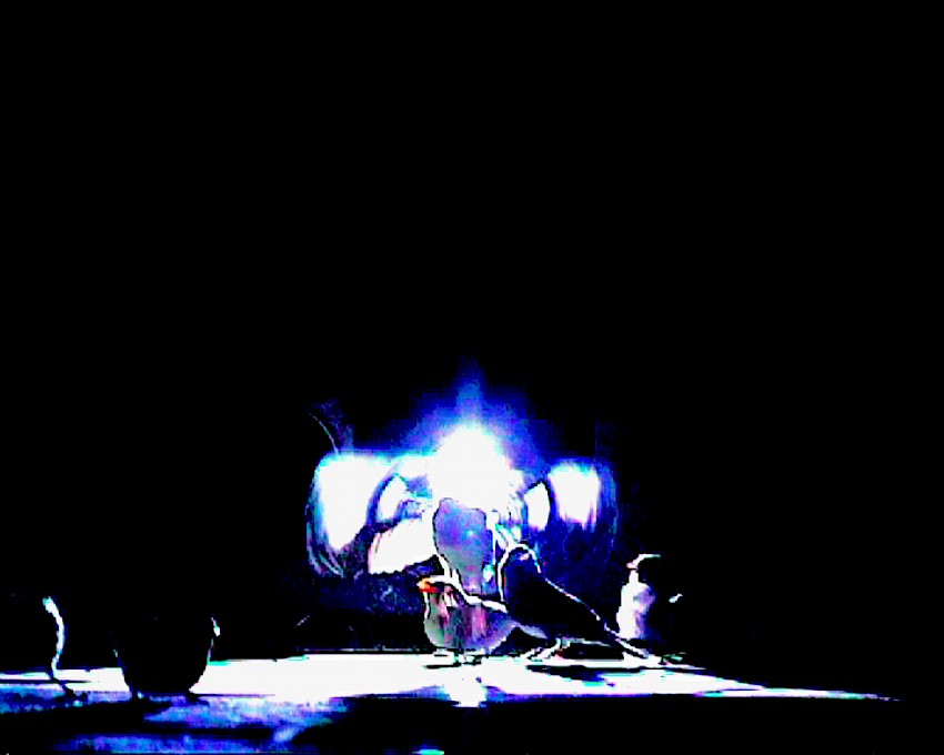 Museum Ratingen, Ratingen 2005