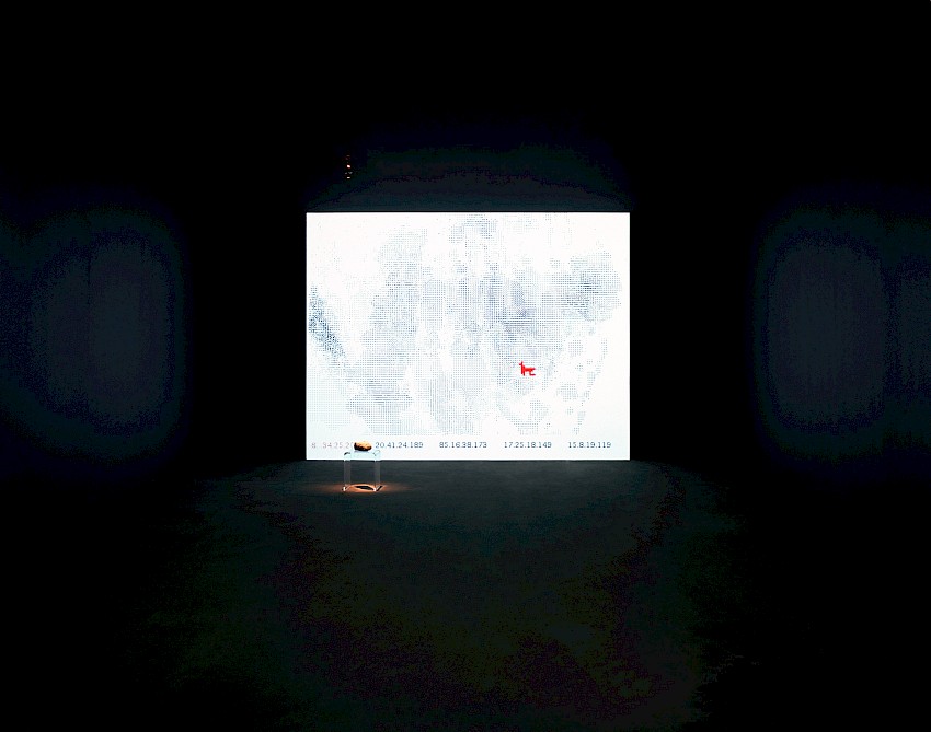 Vista 007