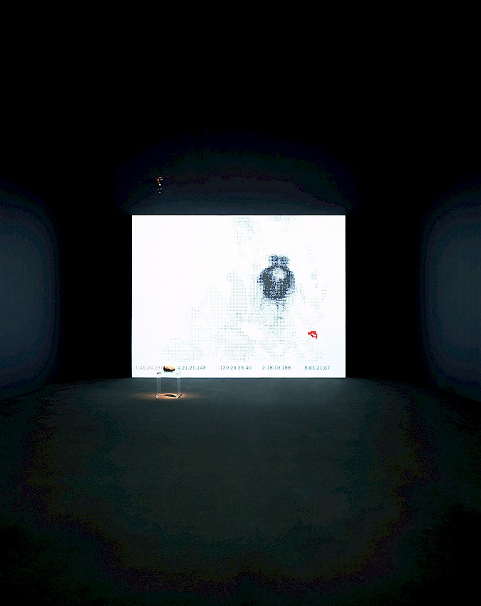 View 015