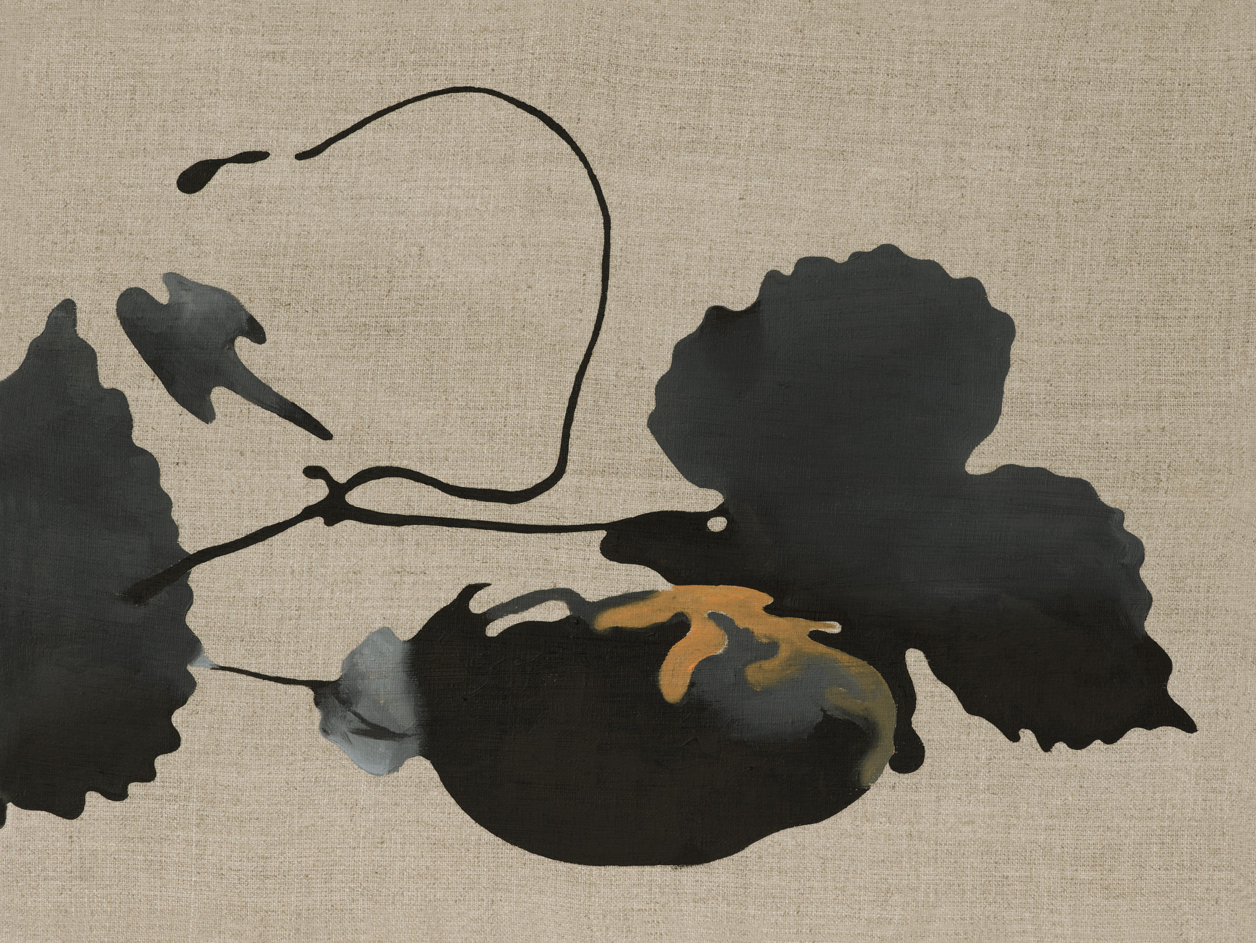 Marder sind dämmerungs- oder nachtaktiv