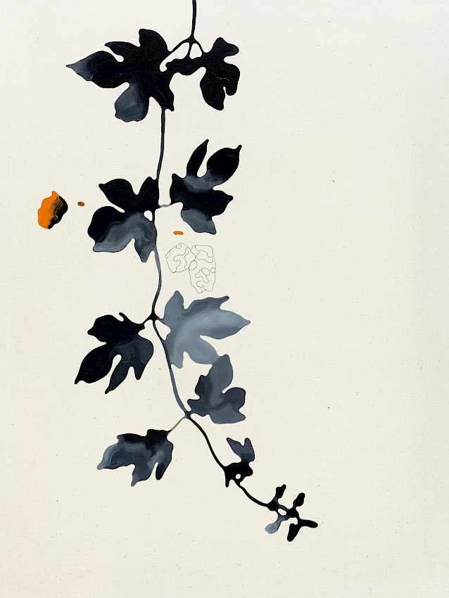 Marderhunde werden wegen ihrer Hoden verehrt