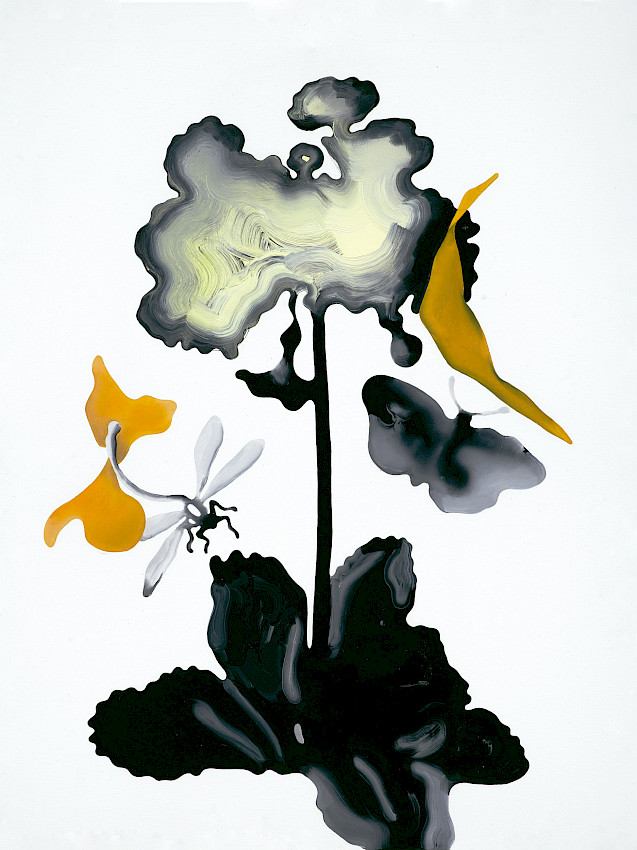 Ssp.woodii2