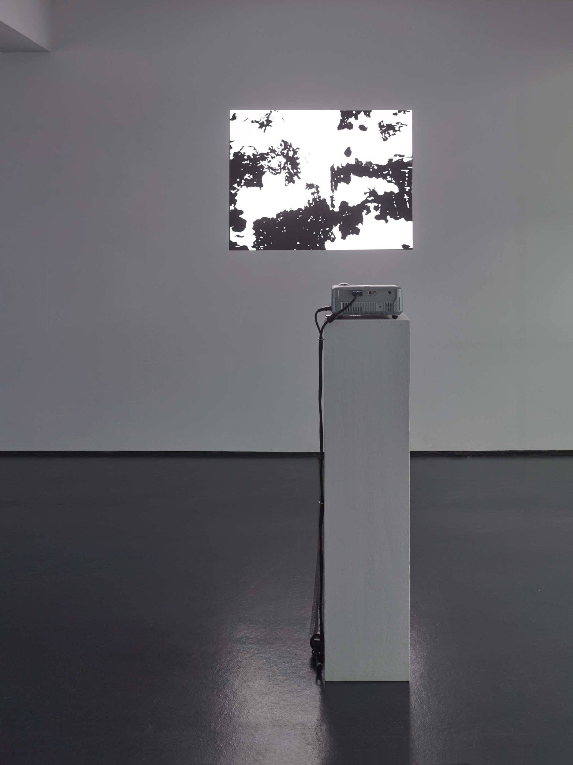 También podría haber sido otra pintura exitosa, 2006