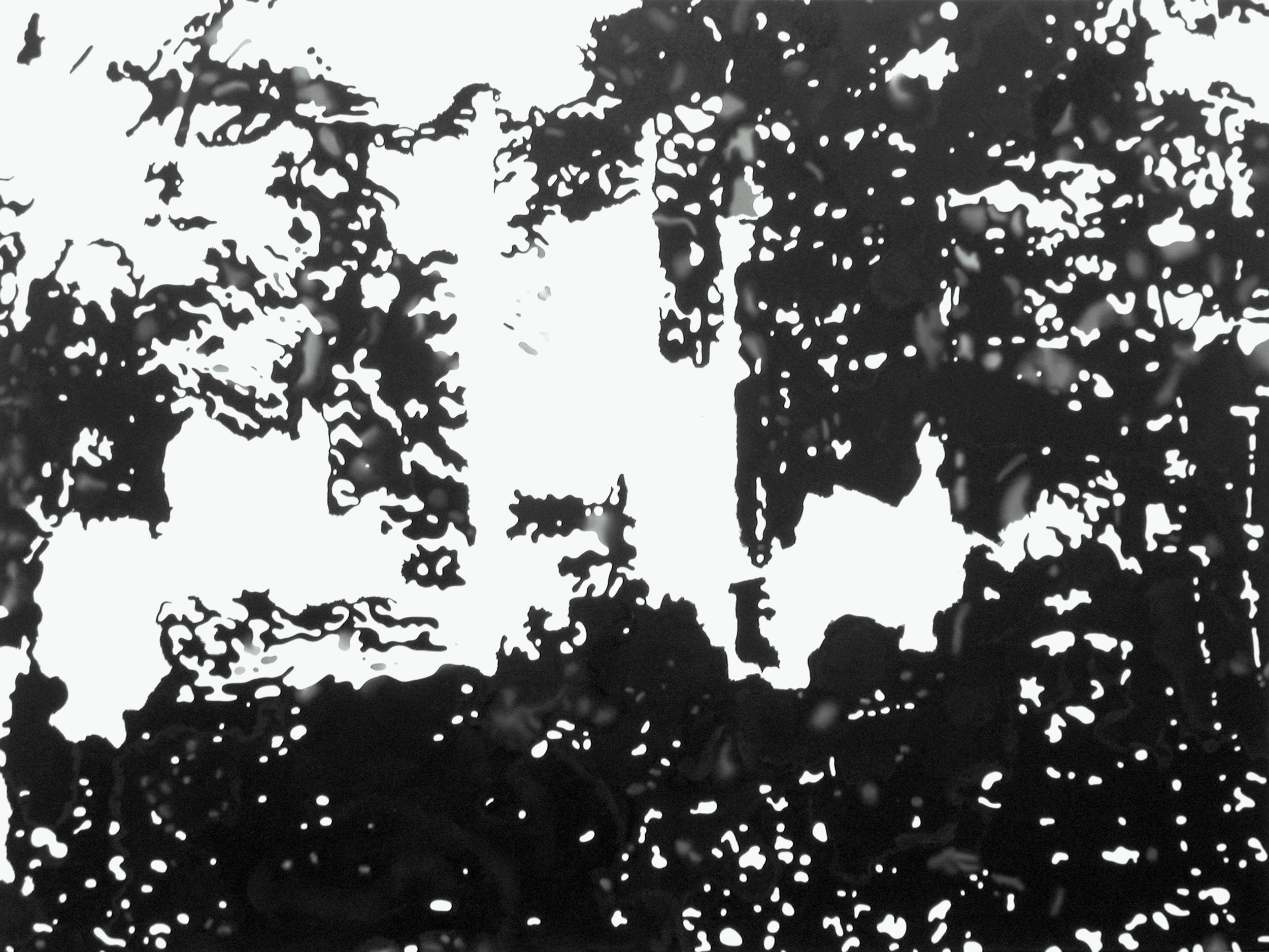 Ansicht 050