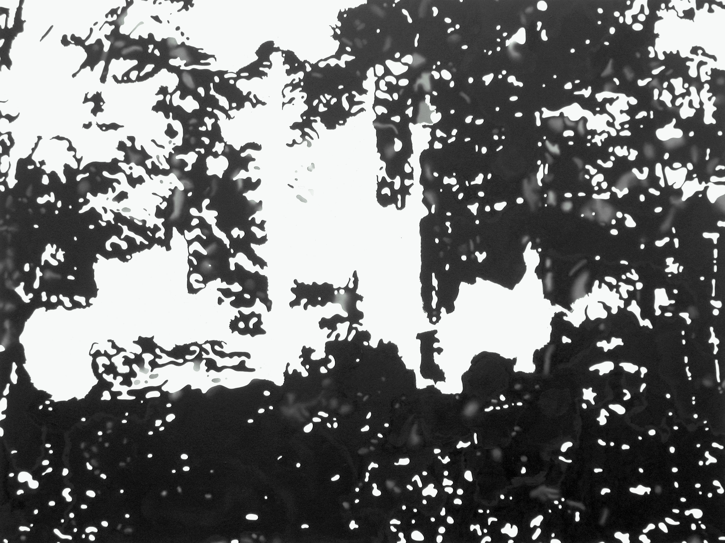 Ansicht 051