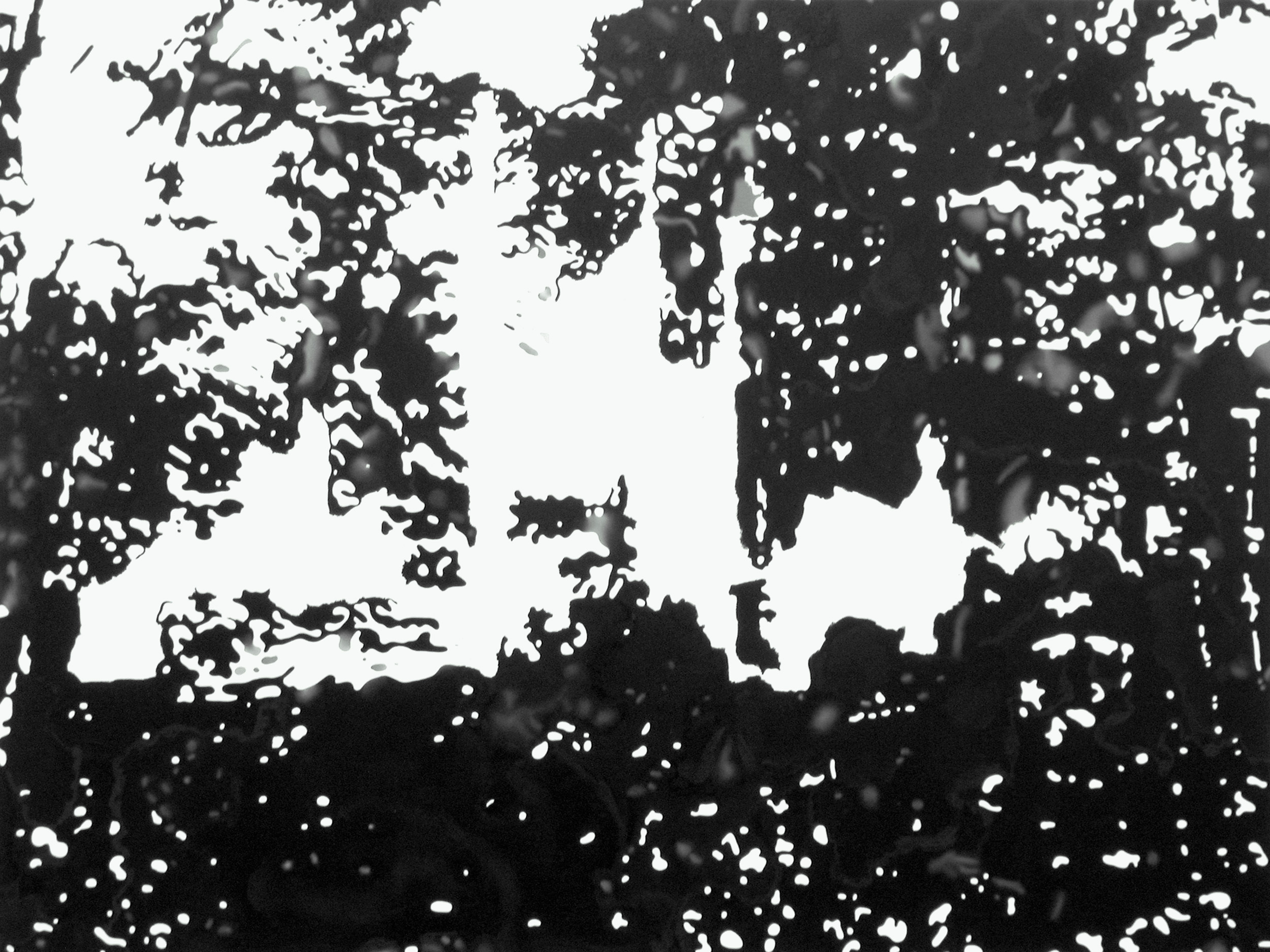 Ansicht 052