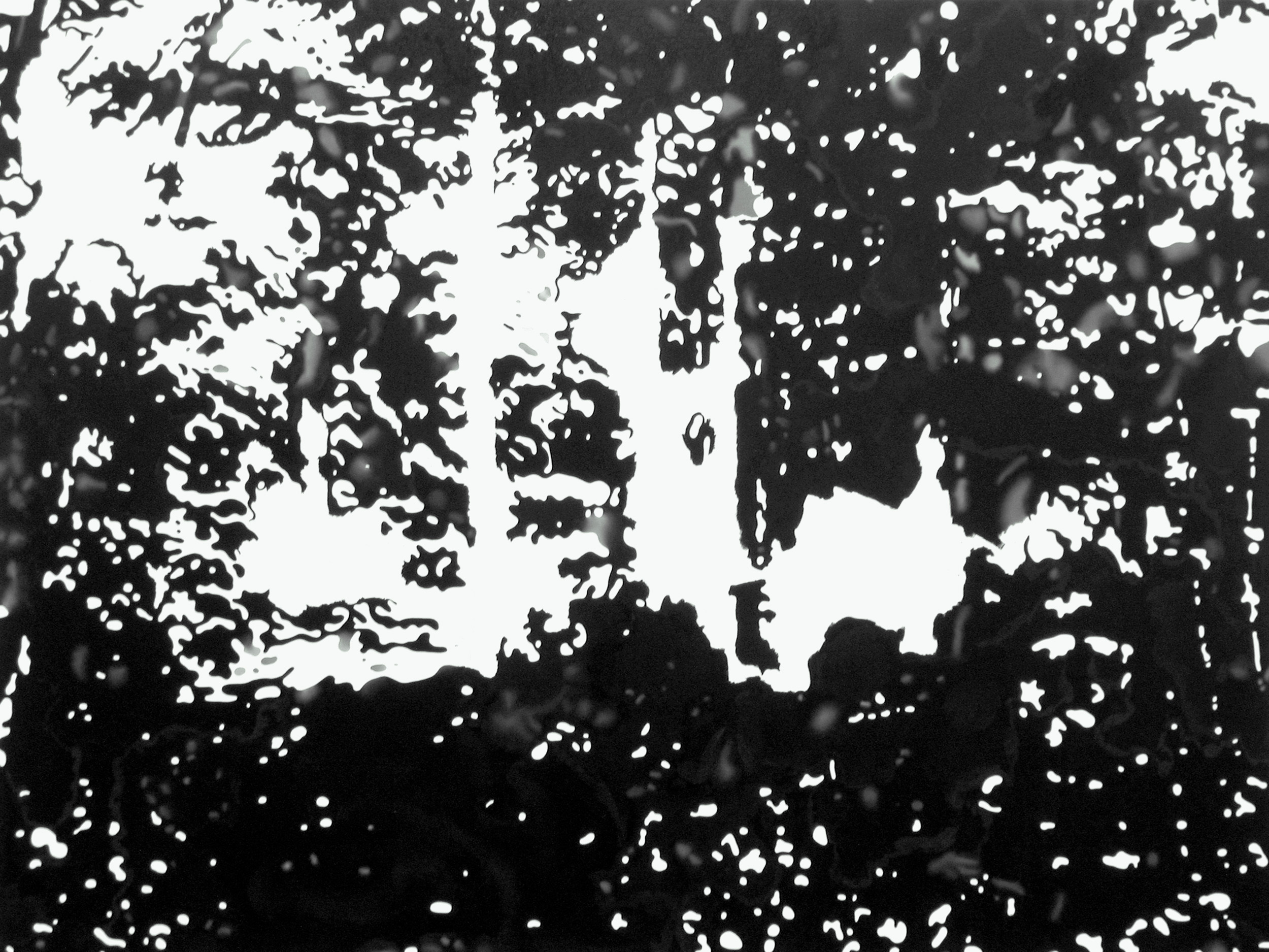Ansicht 054