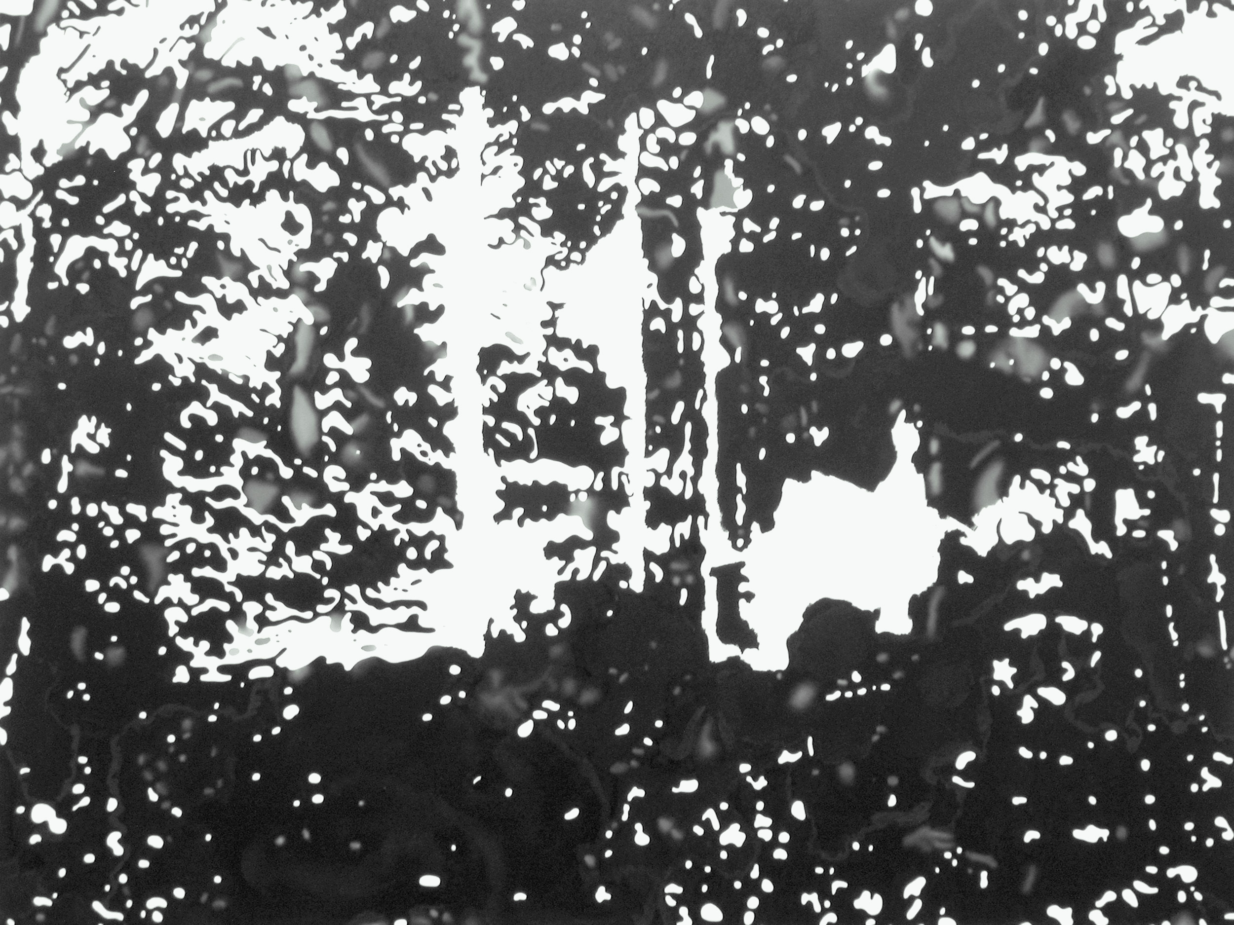 Ansicht 057
