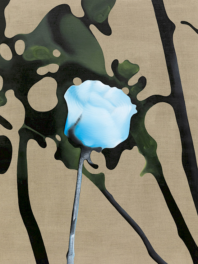 It Is Hereby Notified That No Notification Can Be Issued